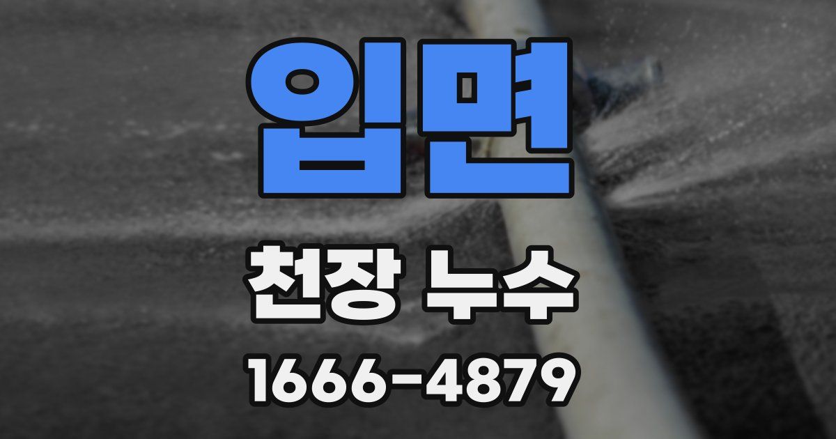 입면 천장 누수