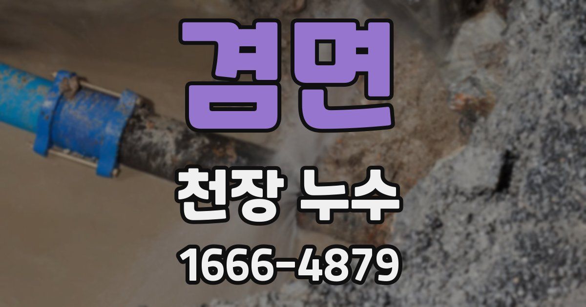 겸면 천장 누수
