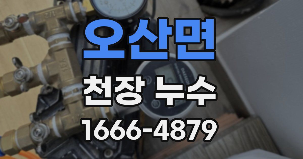 오산면 천장 누수