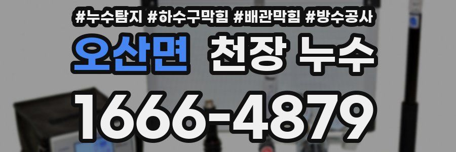 오산면 천장 누수