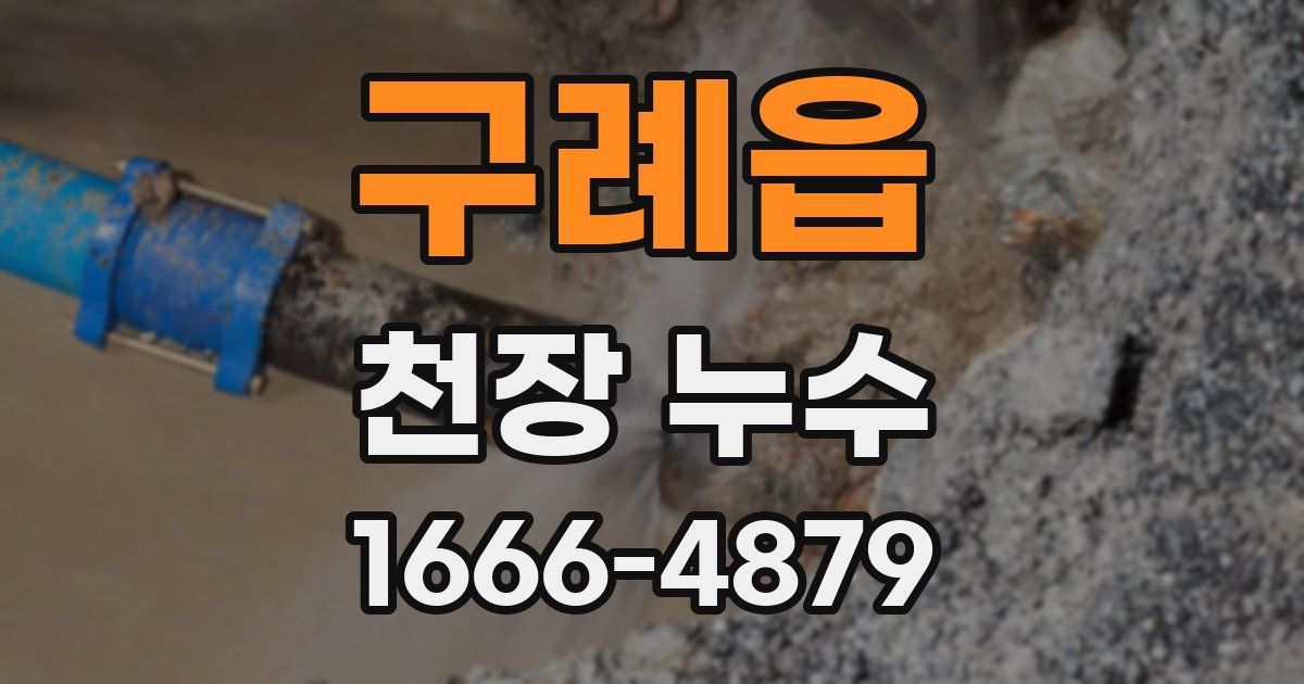구례읍 천장 누수