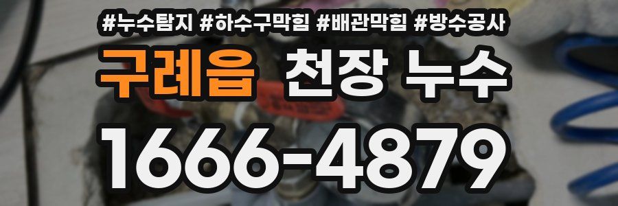 구례읍 천장 누수