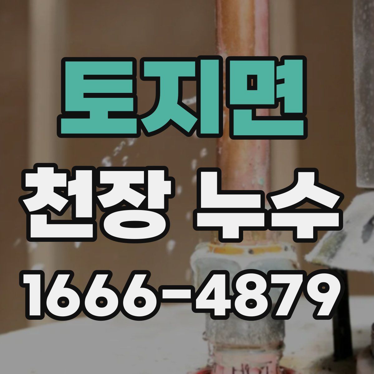 토지면 천장 누수