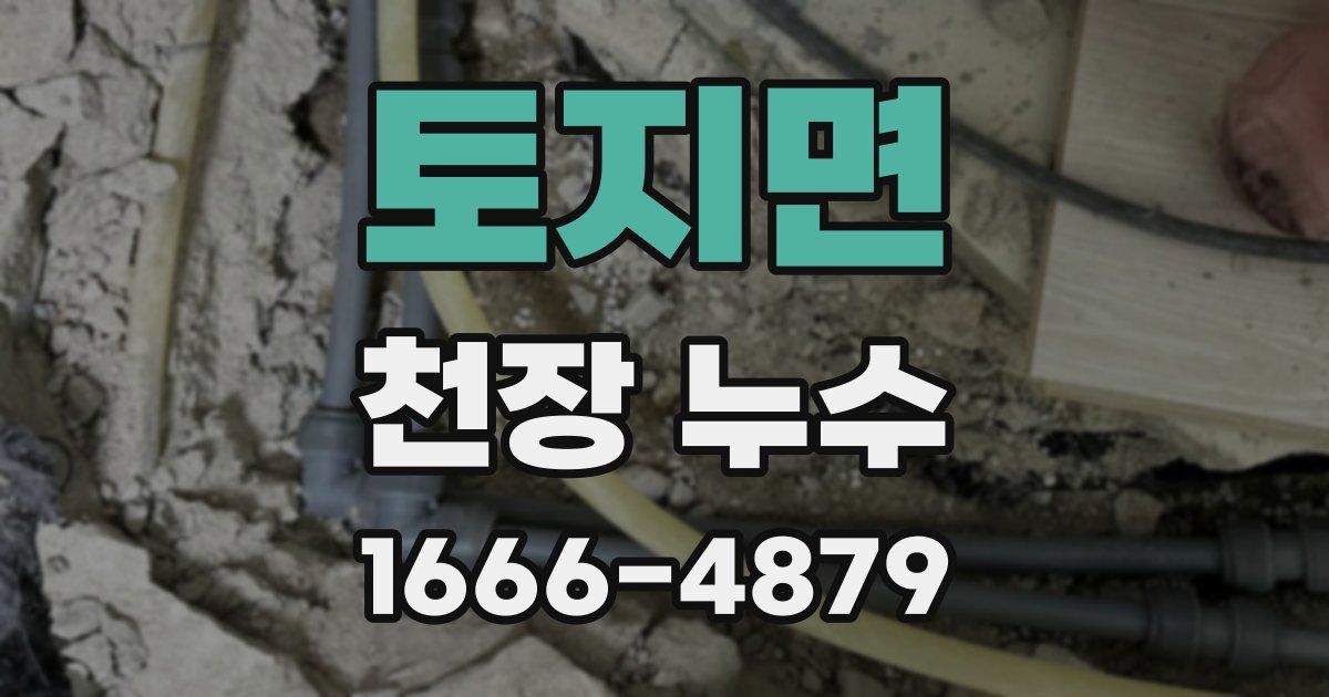 토지면 천장 누수