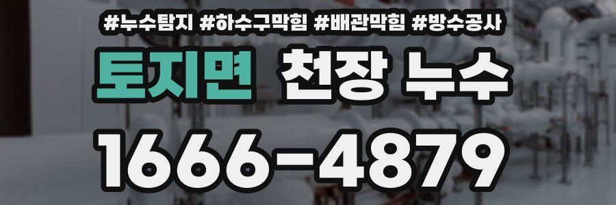 토지면 천장 누수