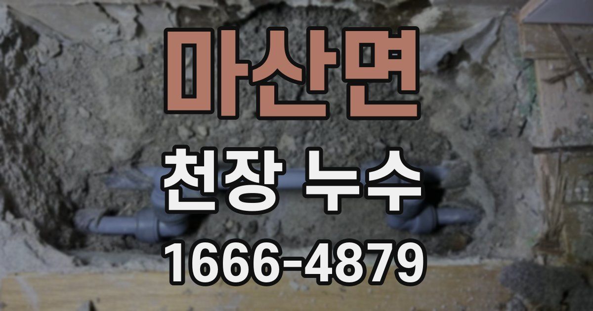마산면 천장 누수