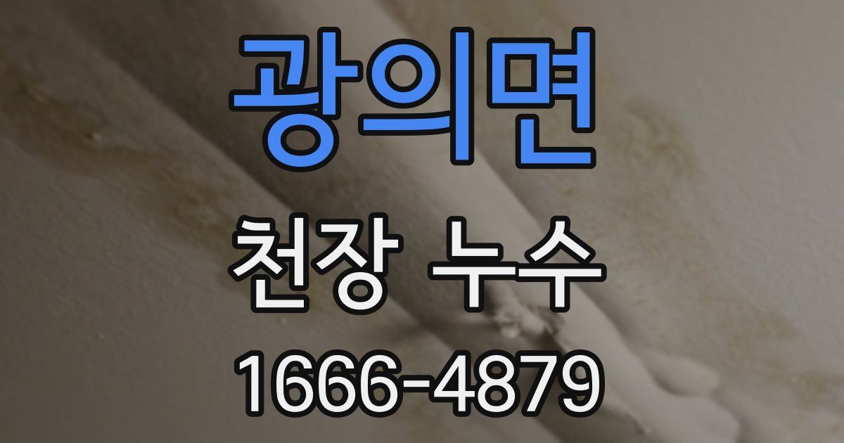 광의면 천장 누수