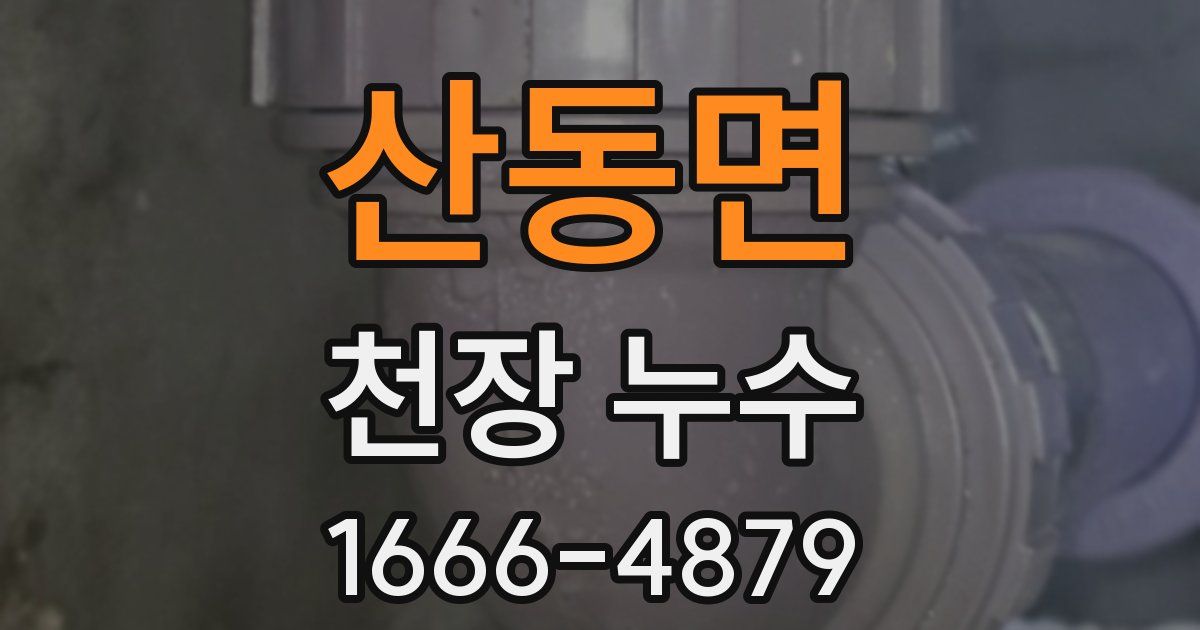 산동면 천장 누수