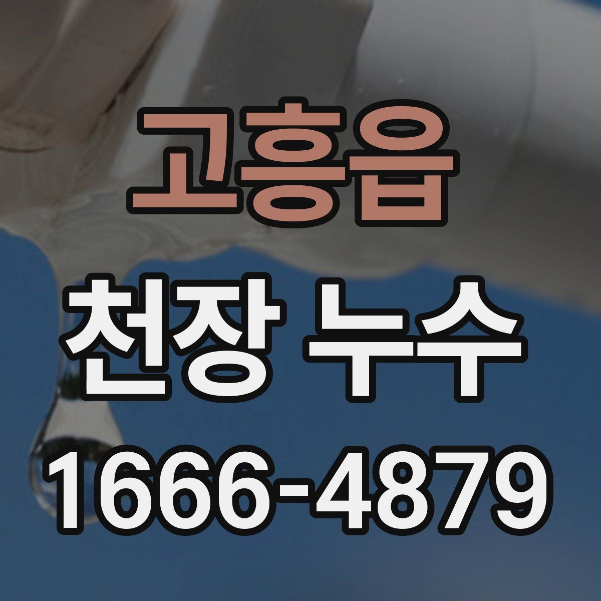 고흥읍 천장 누수