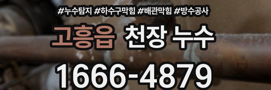 고흥읍 천장 누수