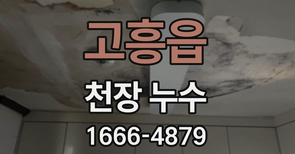 고흥읍 천장 누수