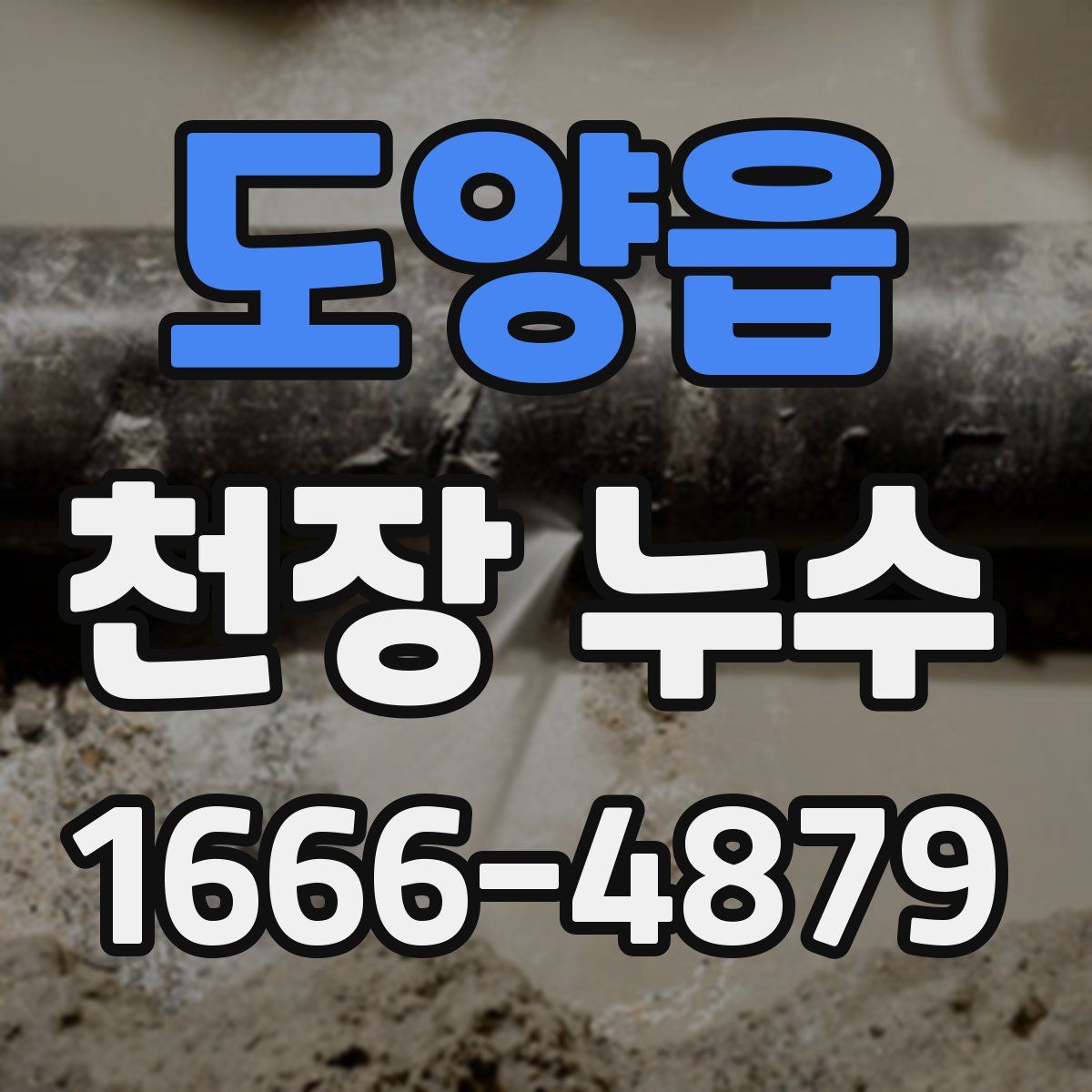 도양읍 천장 누수