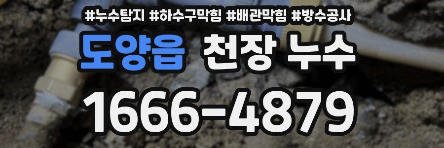 도양읍 천장 누수
