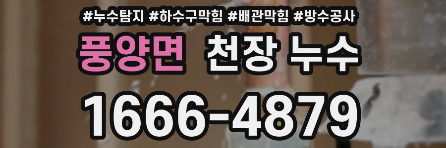 풍양면 천장 누수