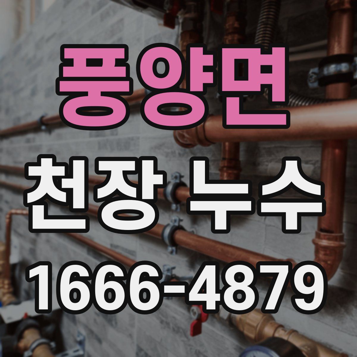 풍양면 천장 누수