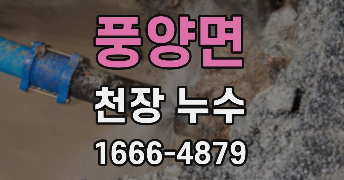 풍양면 천장 누수