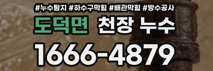 도덕면 천장 누수