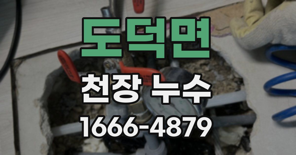 도덕면 천장 누수