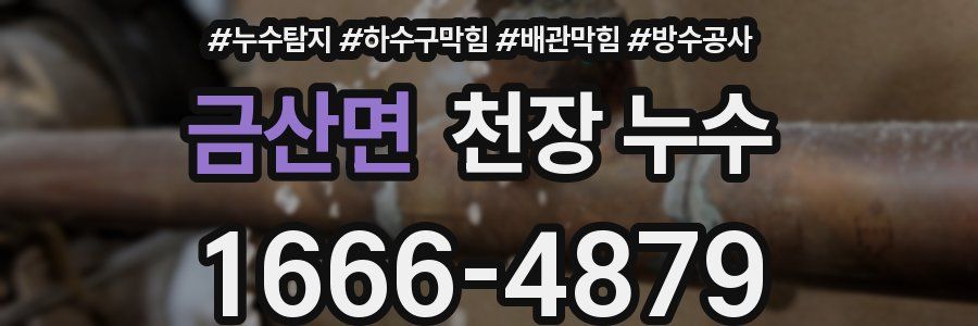 금산면 천장 누수