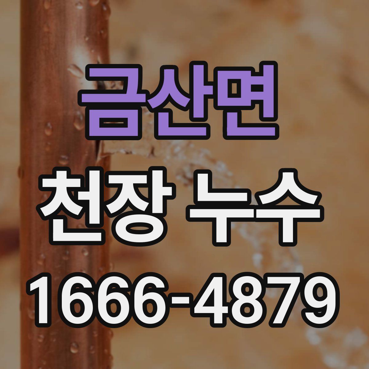금산면 천장 누수