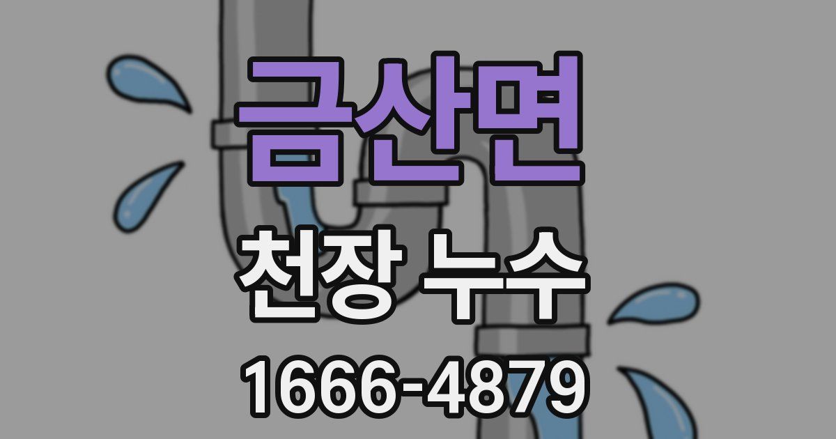 금산면 천장 누수