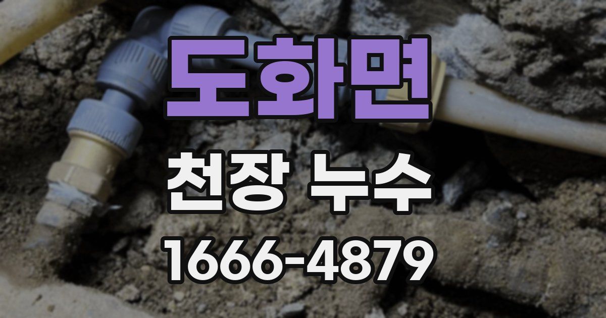 도화면 천장 누수