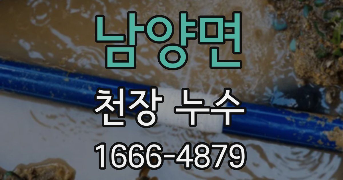 남양면 천장 누수