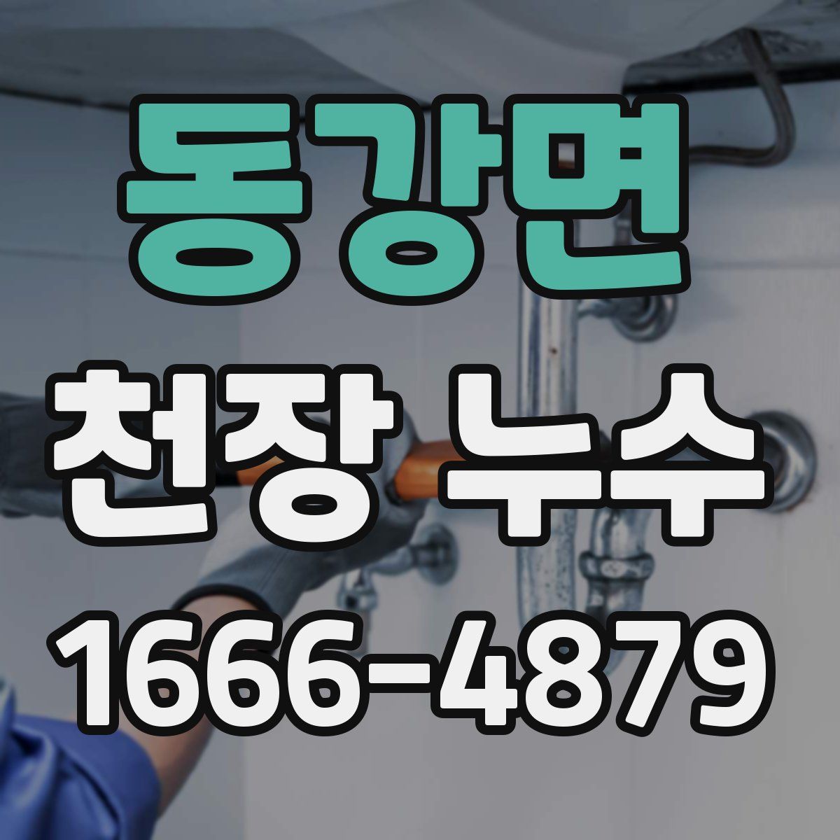 동강면 천장 누수
