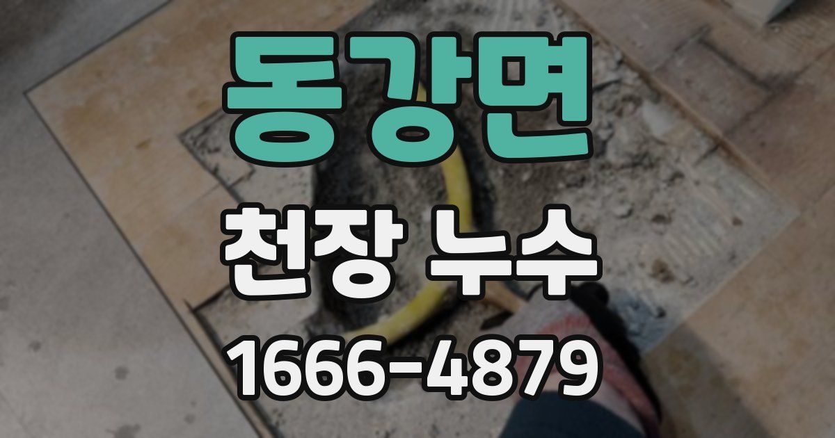 동강면 천장 누수