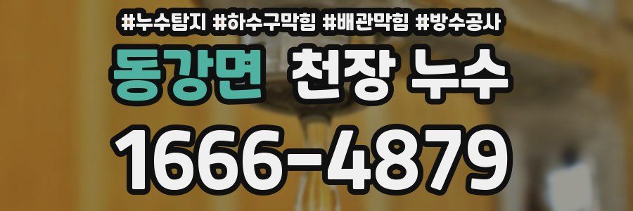 동강면 천장 누수