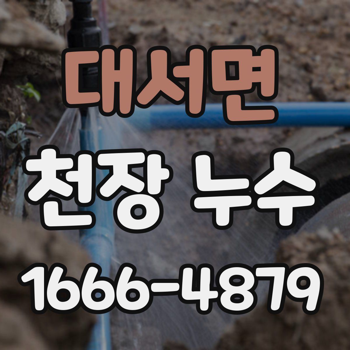 대서면 천장 누수