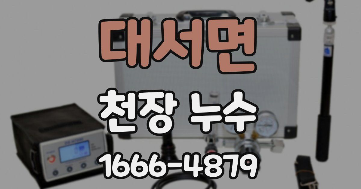 대서면 천장 누수