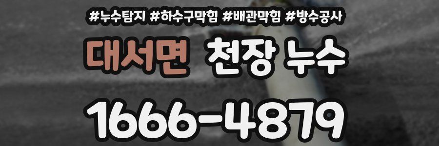 대서면 천장 누수