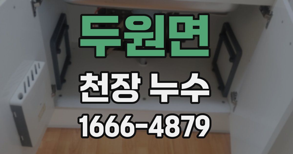 두원면 천장 누수