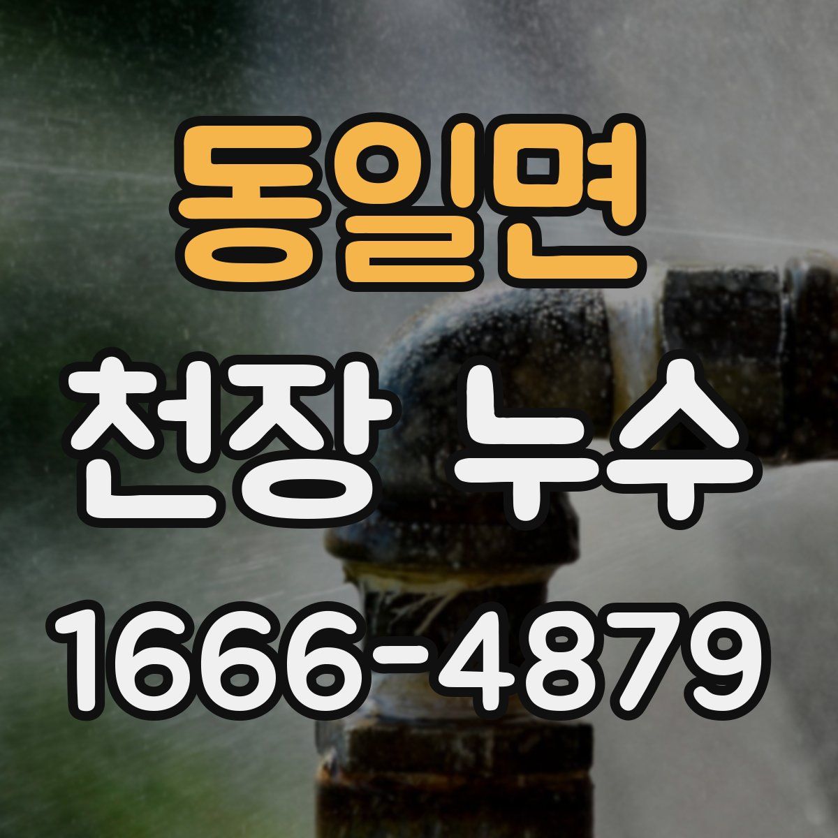동일면 천장 누수