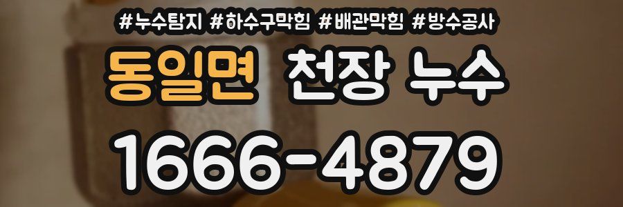 동일면 천장 누수
