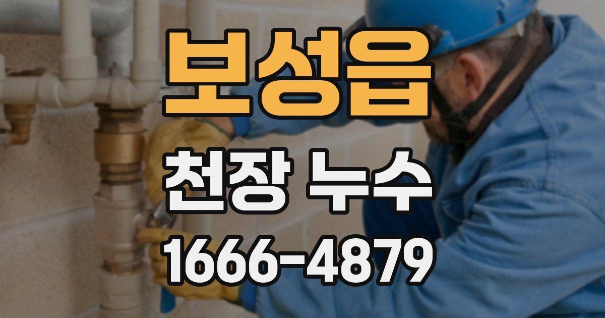 보성읍 천장 누수