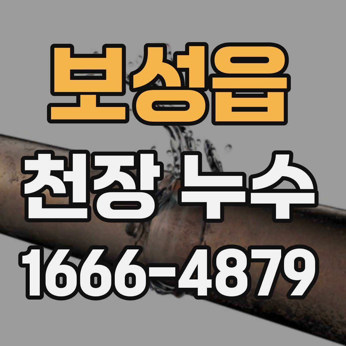 보성읍 천장 누수