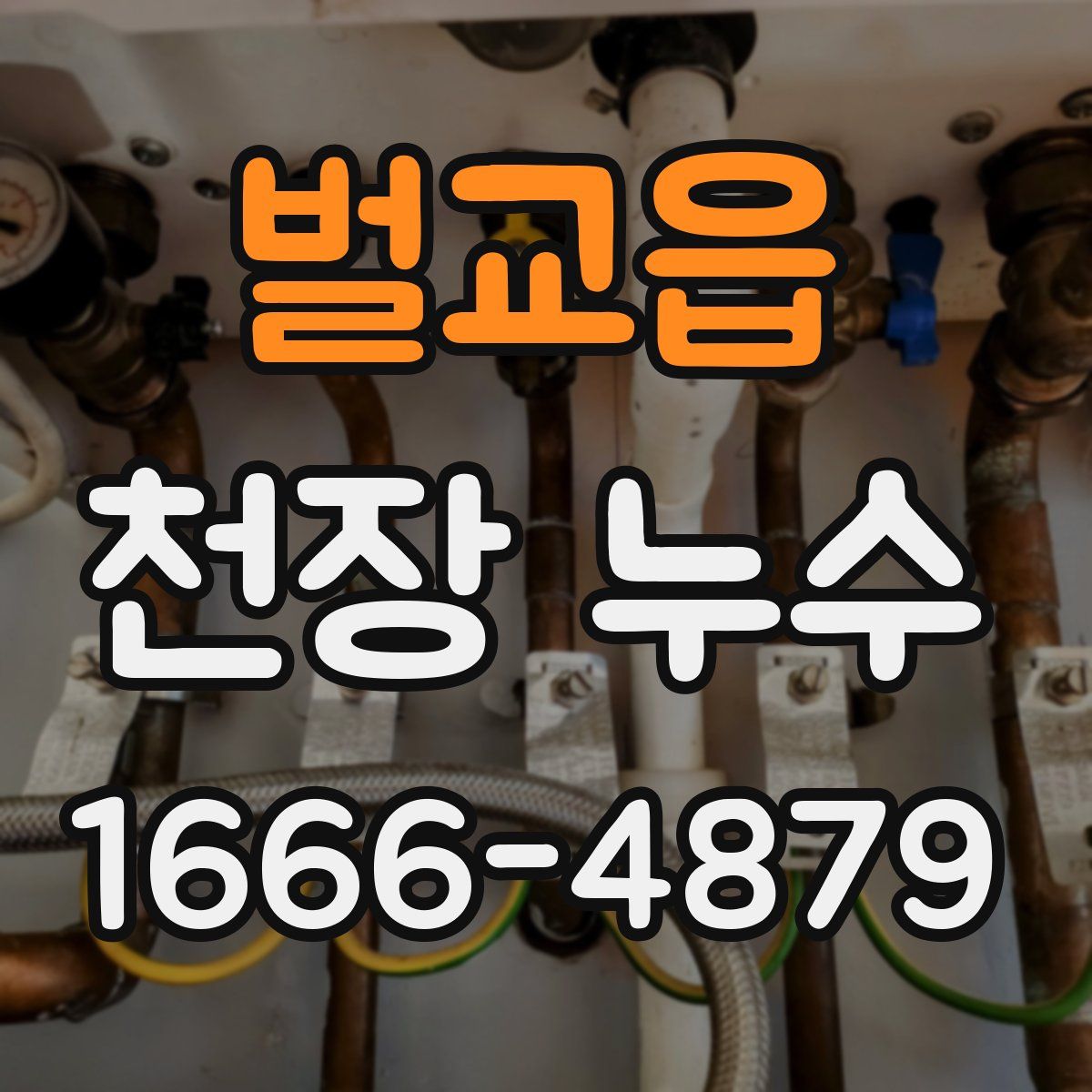 벌교읍 천장 누수