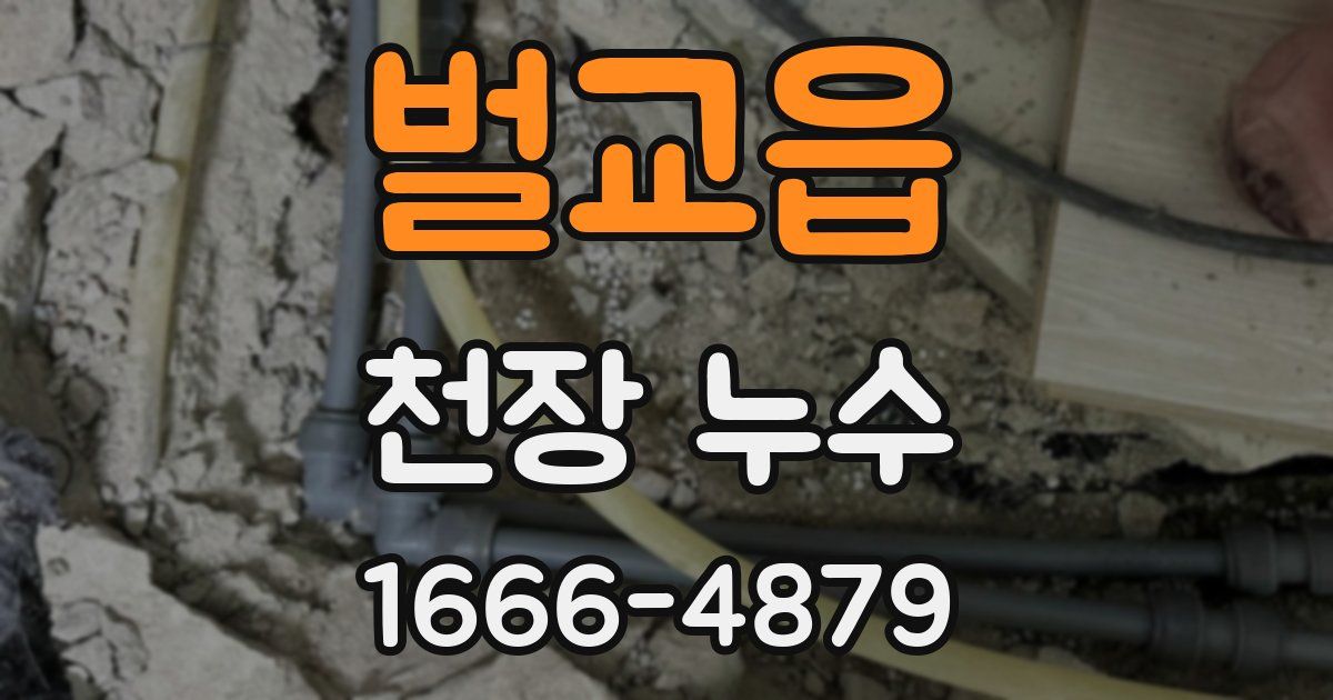 벌교읍 천장 누수