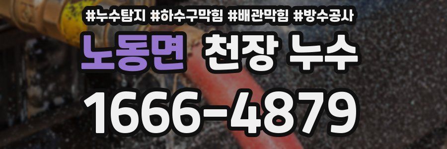 노동면 천장 누수