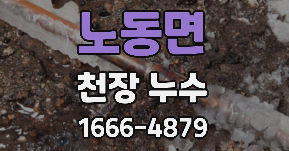 노동면 천장 누수