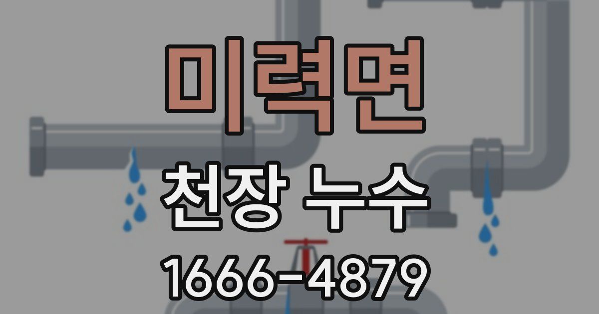 미력면 천장 누수