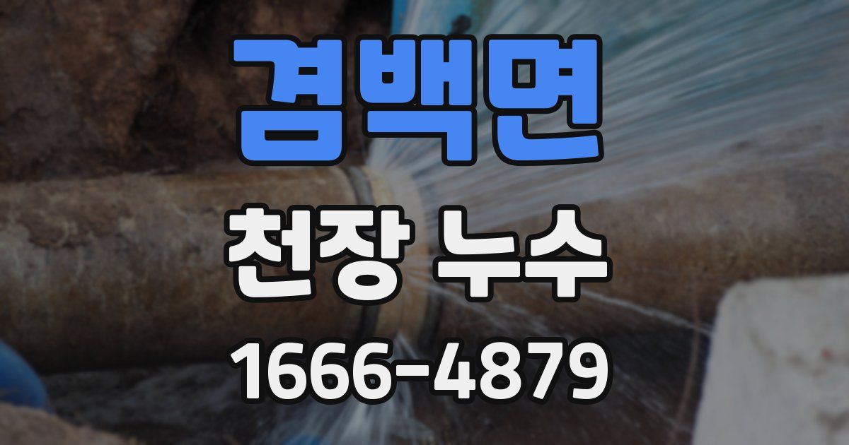 겸백면 천장 누수