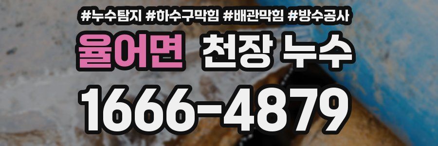 율어면 천장 누수