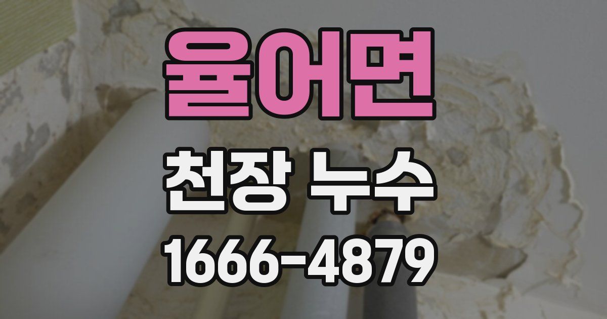 율어면 천장 누수