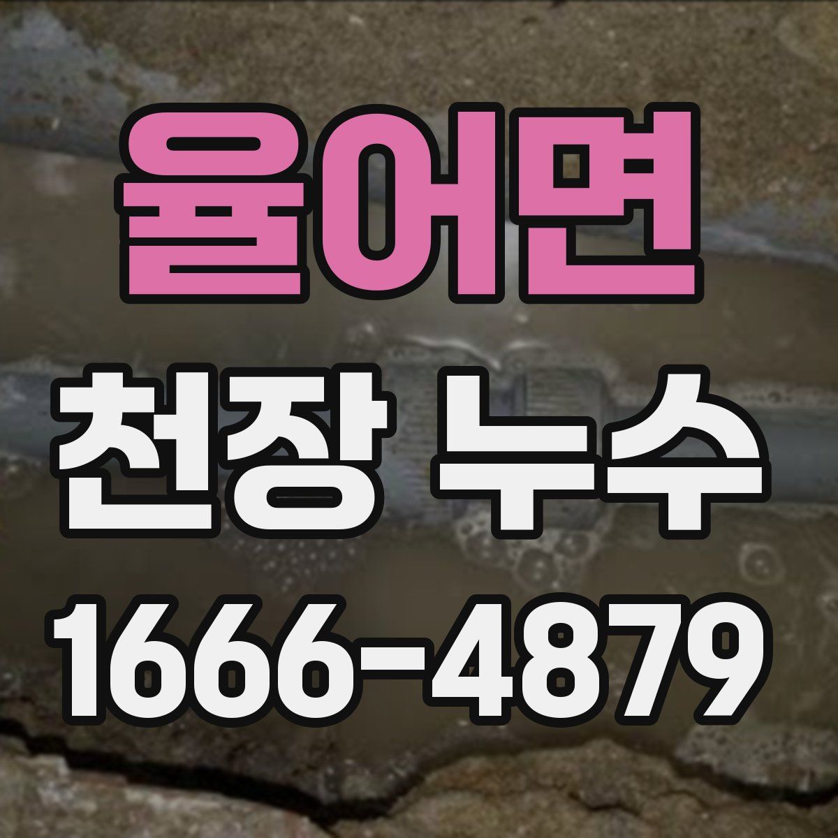 율어면 천장 누수