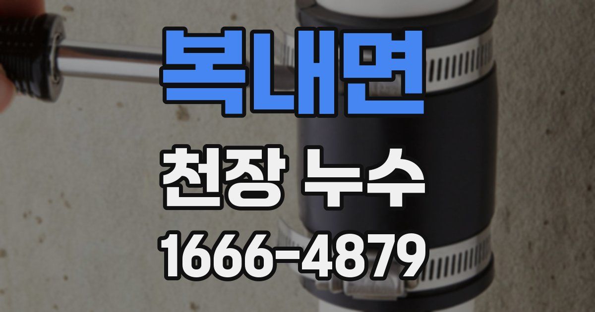 복내면 천장 누수