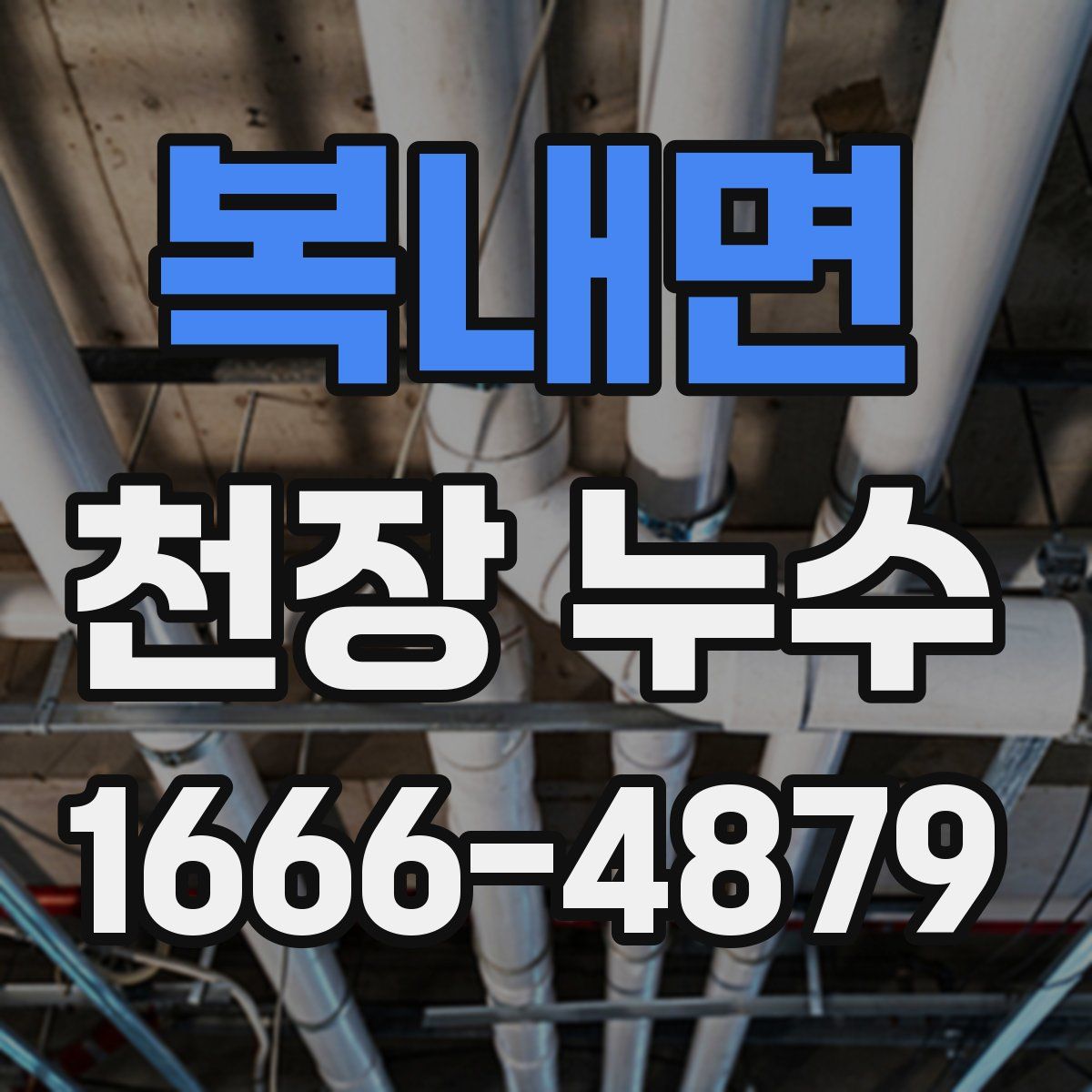 복내면 천장 누수