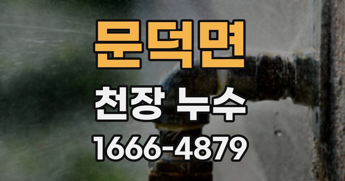 문덕면 천장 누수